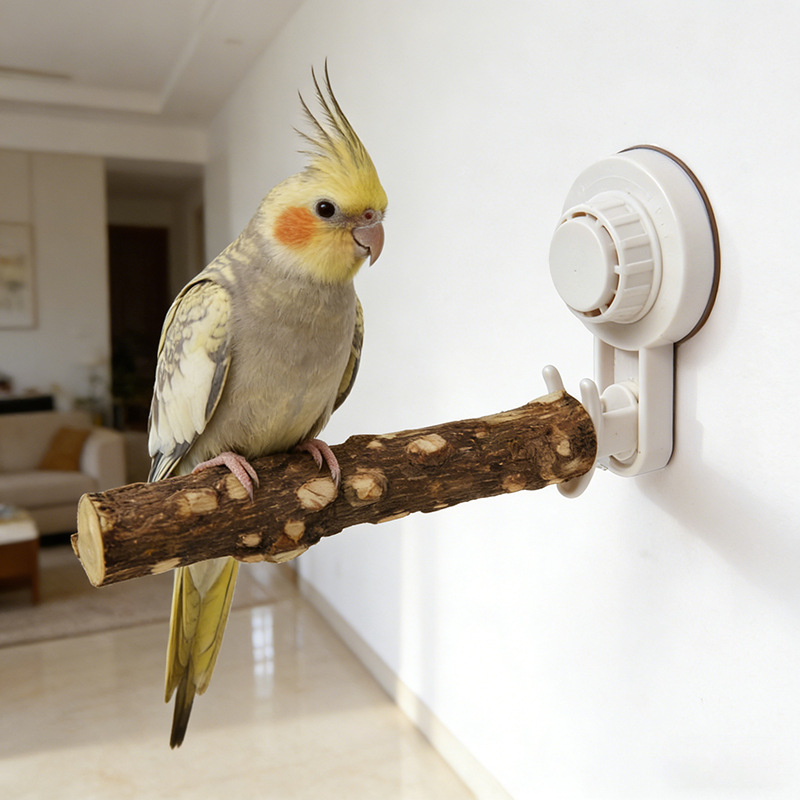 Parrot Stand with Suction Cup  - Woodworking Joint recension och pris