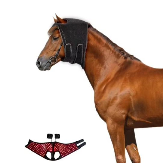 Red Light Hoof Therapy Instrum - Woodworking Therapy recension och pris
